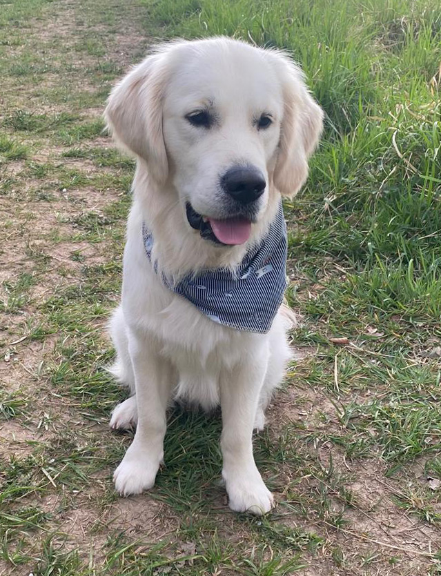 Emil Dalus Hund